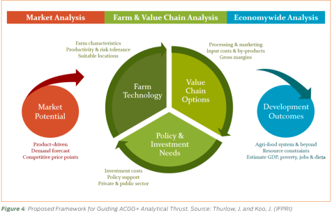 Proposed Framework for Guiding ACGG+ Analytical Thrust. Source: Thurlow, J. and Koo, J. (image credit: IFPRI)