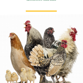 Building the business case for smallholder poultry development (part 1): Taking stock of ACGG ‘1’